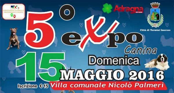 Expo Canina: 15 Maggio 2016 Termini Imerese (PA)